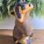 Big Sky Carvers Wood Raccoon with Fish 1 thumbnail