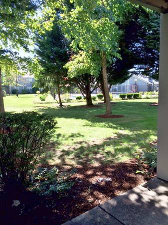 $1,875 / 2br - 1043ft2 - 2 Bedroom, 2 Bathroom Ground Level Apartment (Fisher’s Landing)64039059467138121