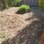 Yard cleanup & gardening 13 thumbnail