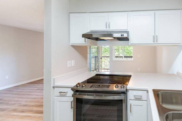 $2,556 / 3br - 1246ft2 - Tour Today, Mountain Views, Woodburning Fireplace (Puyallup)63852484239361120