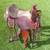 Martin Saddlery 15” Aussie saddle 12 thumbnail