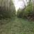 160 acres hunting land in beltrami county 2 thumbnail