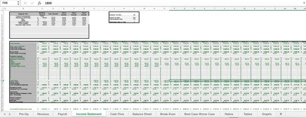 I will create an investor ready business plan 1