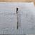Craftsman 3/8" drive flex head ratchet 3 thumbnail