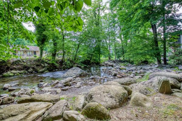 $179 / 2br - 1350ft2 - OCTUBRE 21 $179 - Creekside / Vistas de Montañas / Ropa de Cama de Lujo 5* 2H/2B (CAMINA A TODAS PARTES - Deja tu auto estacionado y olvídalo)63815666846849120
