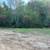 14.12 wooded acres near Louisa/Paintsville-Owner Financing Available 1 thumbnail