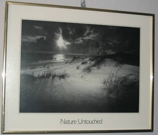 Clyde Butcher print, ‘Living Waters – Aquatic Preserves of Flor 1