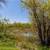 amazing views across a gracious, flat backyard 6 thumbnail