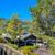 2BR/2BA Spacious & LOTS of Natural Light! W/D In-Unit / Pets OK! 19 thumbnail