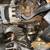 Chevy full floater 373 ring pinion carrier combo 1 thumbnail
