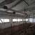 Pipeline Milking System (Accepting Offers) 1 thumbnail