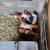 Weaner Pigs 2 thumbnail