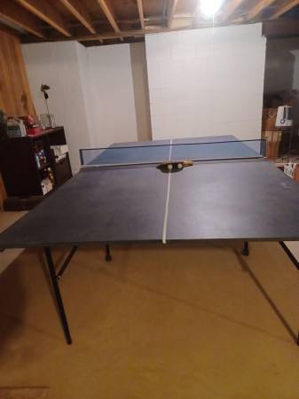 ping pong table 1