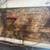 VW Eurovan Camper PopTop kitchen1.9L TDI.Diesel Conversion project 7 thumbnail