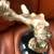 D' Argenta Harmony Sculpture 2 thumbnail