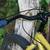 Surly Krampus, size large, uncut steertube 14 thumbnail