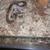 2 stackable 6x4x12 snake enclosure w snakes 4 thumbnail