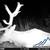 18.7 ac property borders public land in Elkhorn Mtns, year-round, elk 8 thumbnail