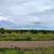 Concho Valley, AZ 1/4 Acre Lots /w utilities 12 thumbnail