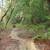 Rare Santa Cruz Mountains Lot – 0.88 Acres + 0.13 Bonus Parcel 2 thumbnail