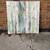 Birch Tree Canvas Art 1 thumbnail