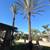 HECTOR LANDSCAPING🌿TREE PALM🌳🌴TRIMING WEED WACKIN GARDENING MAINTENANCE 1 thumbnail