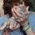 Two Sokoke kitty brothers ready to join your family! 1 thumbnail