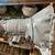 GM TH350C Automatic Transmission - Rare Unicase - Rebuildable Core 1 thumbnail