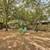 Bedroom Open in Large S Austin Home, Avail Immediately 17 thumbnail