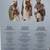 14 pcs Christmas Nativity Set Kirkland Signature (from Costco 2024) 3 thumbnail