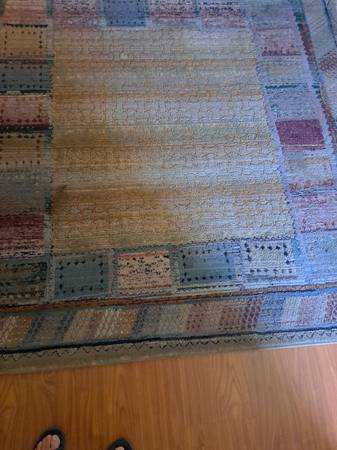 Beautiful Rug 1
