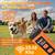Dog Bark Deterrent Device, 2025 Anti Barking Device for Dogs 65FT Far 5 thumbnail