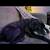 10 year old neutered male Lab Mix 7 thumbnail
