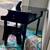 ATTN Parents of 4 Year-olds or Older:  Melissa & Doug Toy Grand Piano 2 thumbnail