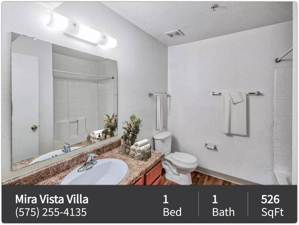 $845 / 1br - 526ft2 - This deal won't last long! Gorgeous 1 bed, 1 bath! Prime location. (Las Cruces)63948355576834120