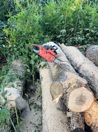 Hardwood Logs Wanted Farmington *Free Dump* 1