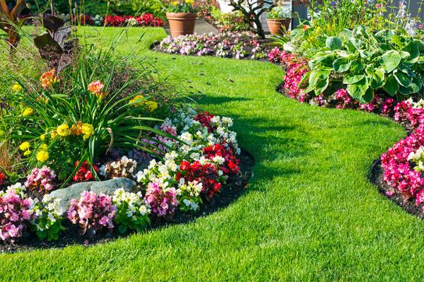 GARDENER SERVICE 1