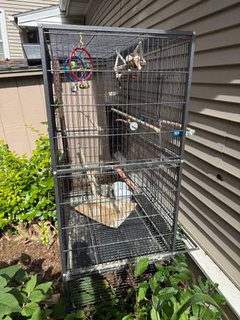 Two Bird cages 1