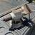 STEP VAN SPRINTER TRUCK TOOL STRONG BOX KNACK WELDING AIR  REEL VISE 6 thumbnail