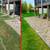 Landscaping & Lawn Care /Paver patio, Retaining Walls & More! 7 thumbnail