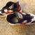 Pair Nike Size 4Y Athletic Shoes 1 thumbnail
