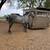 Mare 2 thumbnail