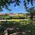 Charming 3 Bed, 2 Bath Home in Sherwood | Available 8/22 | $1800/mo 16 thumbnail