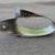 1958-1962 CORVETTE RH GRAB BAR END CAP ESCUTCHEON 59 60 61 #3747068 10 thumbnail