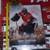 Chicago Blackhawks Corey Crawford Signature Signed Autographed Photo 1 thumbnail