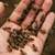Bee Wasp Removal. 3 thumbnail