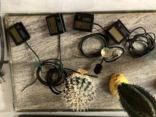 10 Gallon Glass Reptile Terrarium Setup - $100 (Kirkland)63470797425795123