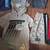 Size 8 Shorts Bundle 5 thumbnail