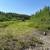 Remote cabin on Talachulitna River 14 thumbnail