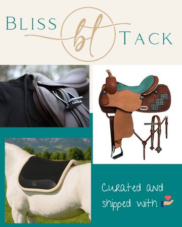 Say Hello to Blissful Comfort 🐎✨ 1
